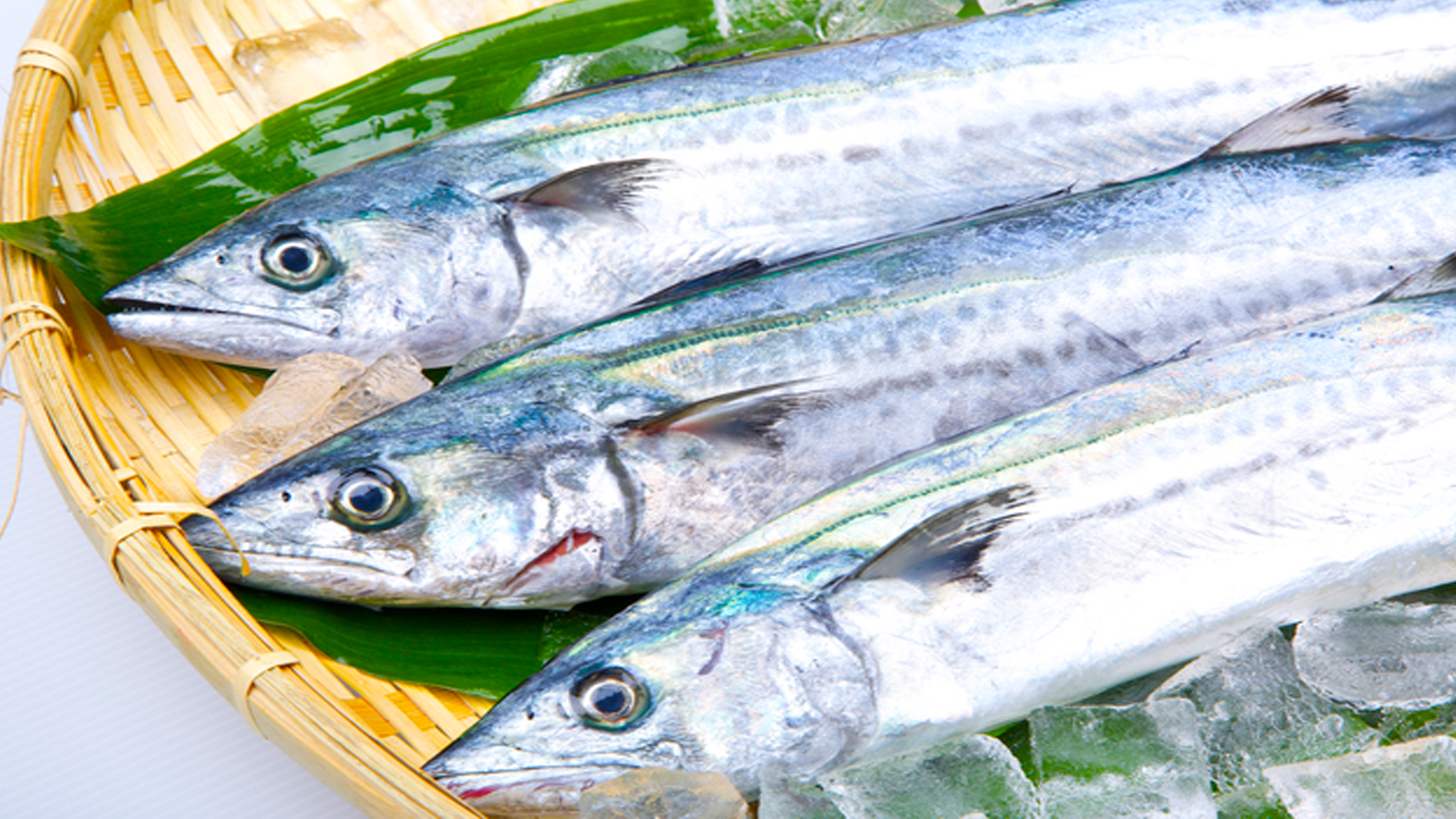 【野球めし】春を呼ぶ守備の要！「鰆」でスタミナと集中力を一気にチャージ