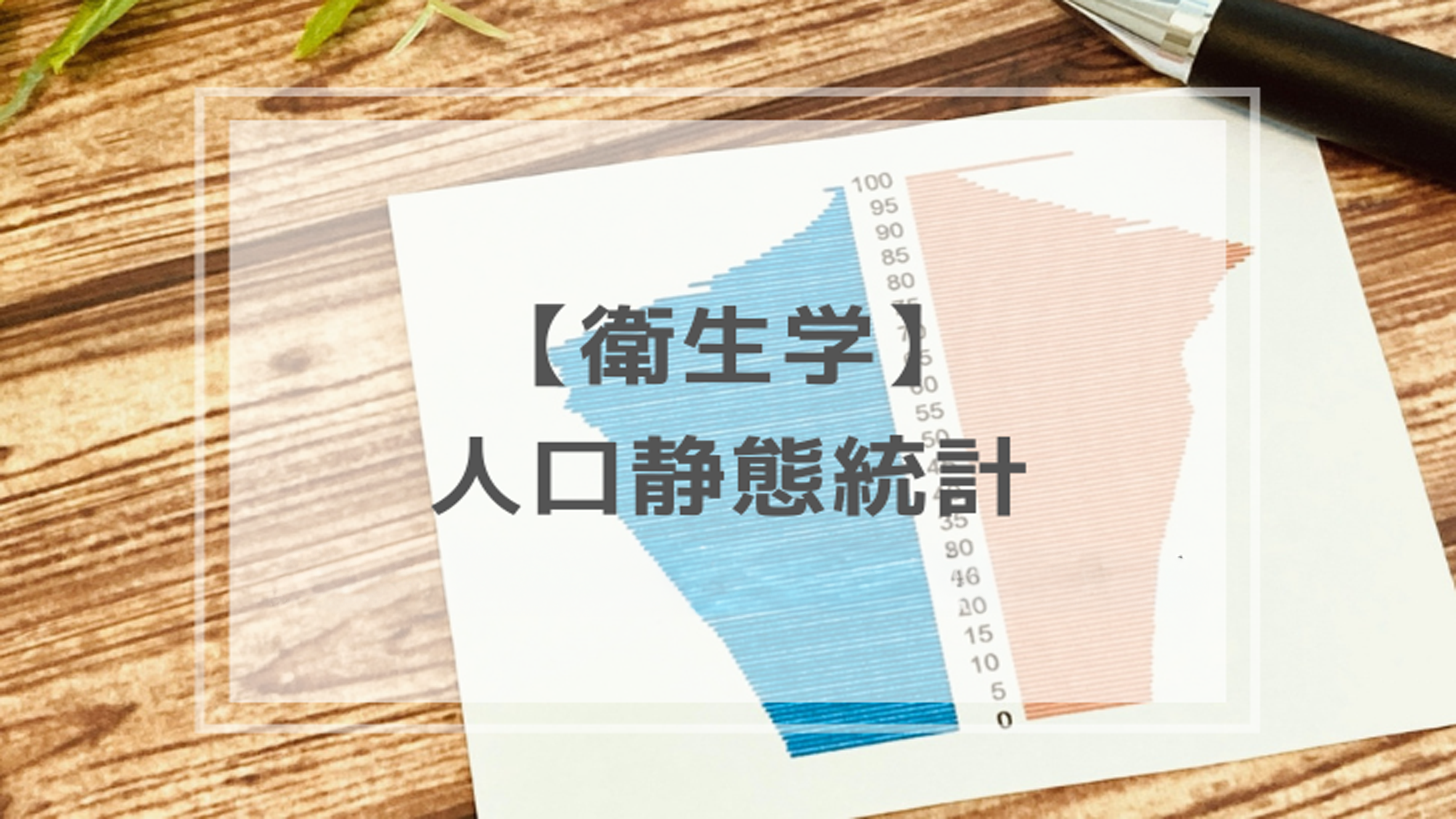 「人口静態統計」って何？言葉の意味とビジネスに役立つ基本